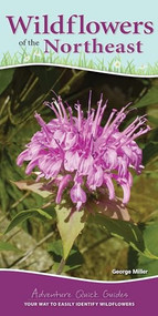 Wildflowers of the Northeast (Your Way to Easily Identify Wildflowers) by George Oxford Miller, 9781591939443