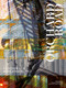 Evolution of a Retail Streetscape (DP Architects on Orchard) by Collin Anderson, Kenneth Frampton, Fumihiki Maki, 9781864704624
