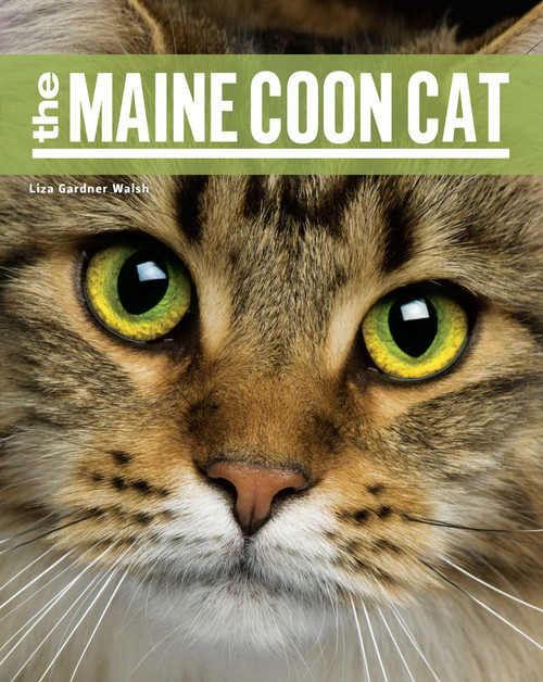 The Maine Coon Cat by Liza Gardner Walsh, 9781608932504