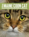 The Maine Coon Cat by Liza Gardner Walsh, 9781608932504