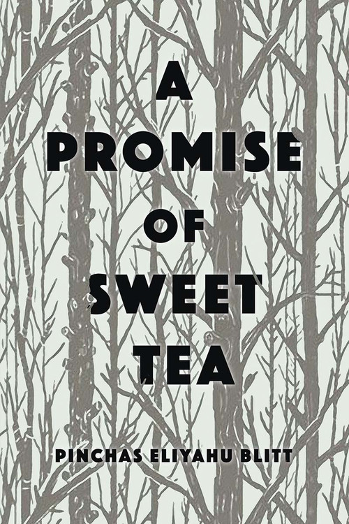 A Promise of Sweet Tea by Pinchas Blitt, 9781989719152