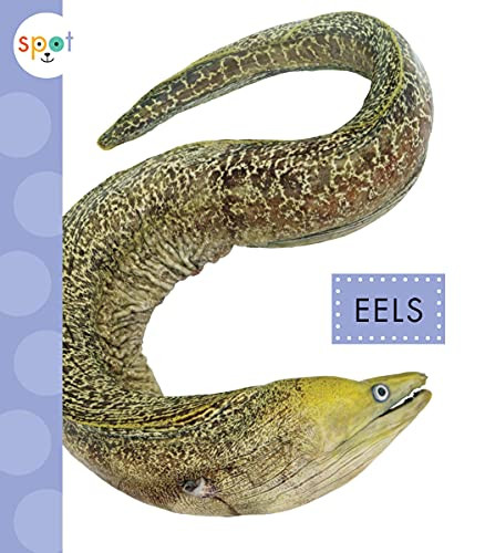 Eels - 9781681526775 by Mari Schuh, 9781681526775