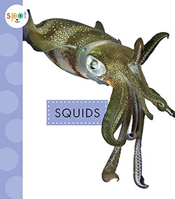 Squids - 9781681526805 by Mari Schuh, 9781681526805