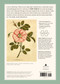 John Derian Paper Goods: Garden Rose 1,000-Piece Puzzle by John Derian, 9781648290817