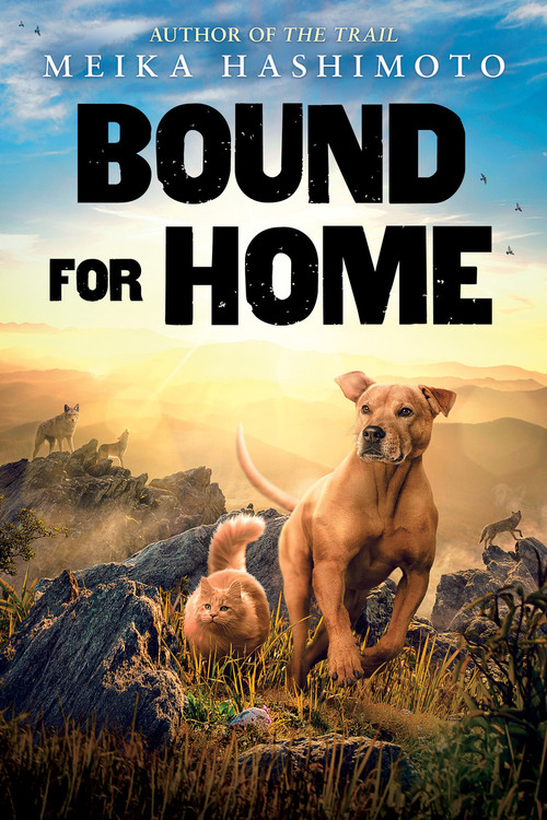 Bound for Home by Meika Hashimoto, 9781338572223