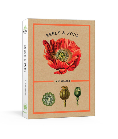 Seeds and Pods (24 Postcards) (Miniature Edition) by The New York Botanical Garden, 9781524759056