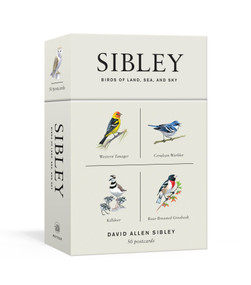 Sibley Birds of Land, Sea, and Sky (50 Postcards) by David Allen Sibley, 9781524761820