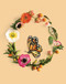 Flora Forager: Butterfly Notecards by Bridget Beth Collins, 9781632172167