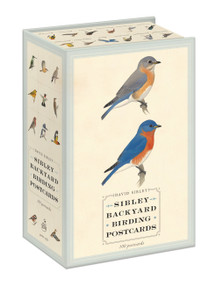 Sibley Backyard Birding Postcards (100 Postcards) by David Sibley, David Allen Sibley, 9780770433963