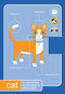 Quirknotes: Cat by Quirk Staff, 9781594742514