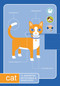 Quirknotes: Cat by Quirk Staff, 9781594742514