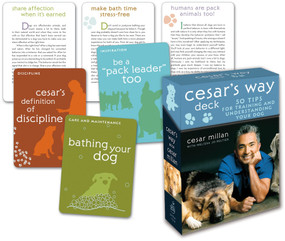 Cesar's Way Deck (50 Tips for Training and Understanding Your Dog) by Cesar Millan, 9780307396327