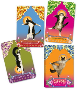 Cat Yoga Postcards by Rick Tillotson, 9780307395429