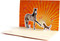 High Five (10 Pop-up Notecards & Envelopes) by Chronicle Books, 9781452135656