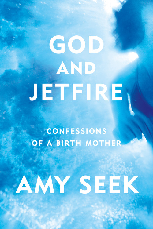 God and Jetfire (Confessions of a Birth Mother) by Amy Seek, 9780374536268
