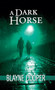 A Dark Horse by Blayne Cooper, 9781594934568