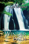 The Winder Path by Lyn Dowland, 9781594935404