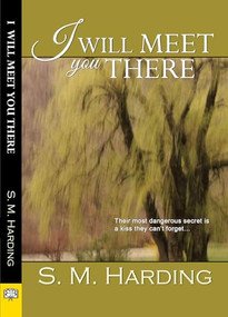 I Will Meet You There by S.M. Harding, 9781594934667