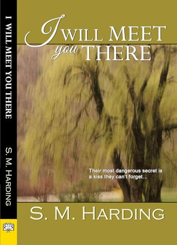 I Will Meet You There by S.M. Harding, 9781594934667