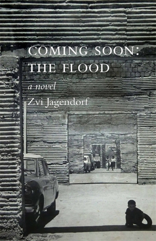 Coming Soon: The Flood by Zvi Jagendorf, 9781905559923