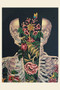 Anatomy Rocks (30 Deluxe Postcards) by Rodolphe Lachat, 9782374950075