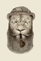 Beards Rock (30 Deluxe Postcards) by Sarah La Barbière de Paris, 9782374950099