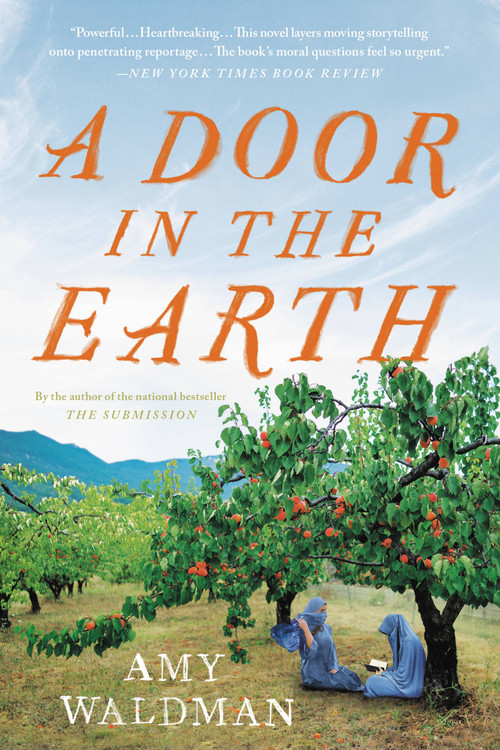 A Door in the Earth by Amy Waldman, 9780316451567