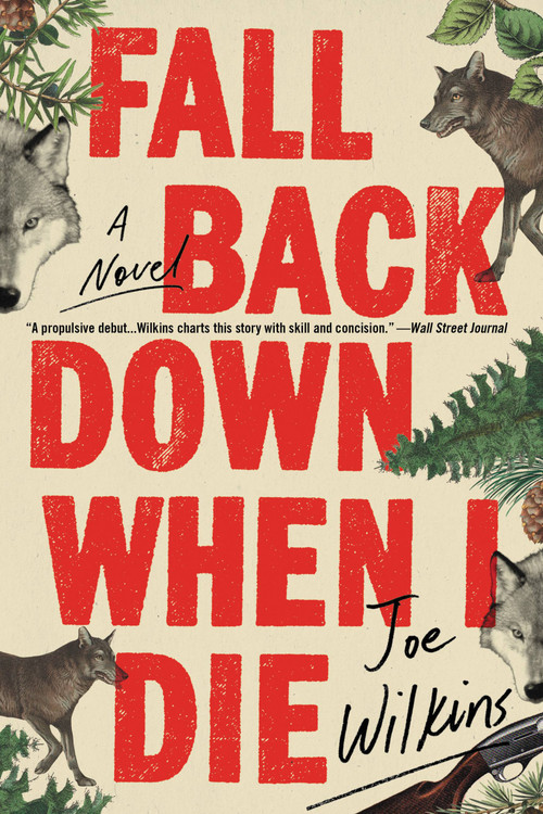 Fall Back Down When I Die by Joe Wilkins, 9780316475341