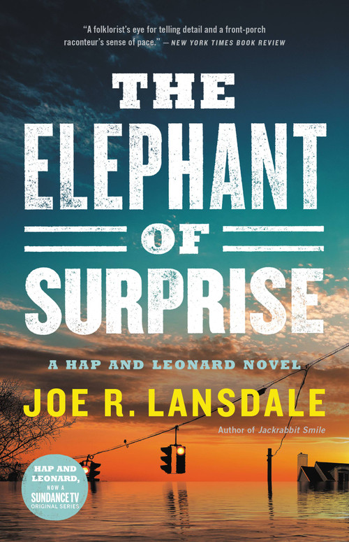 The Elephant of Surprise by Joe R. Lansdale, 9780316479875