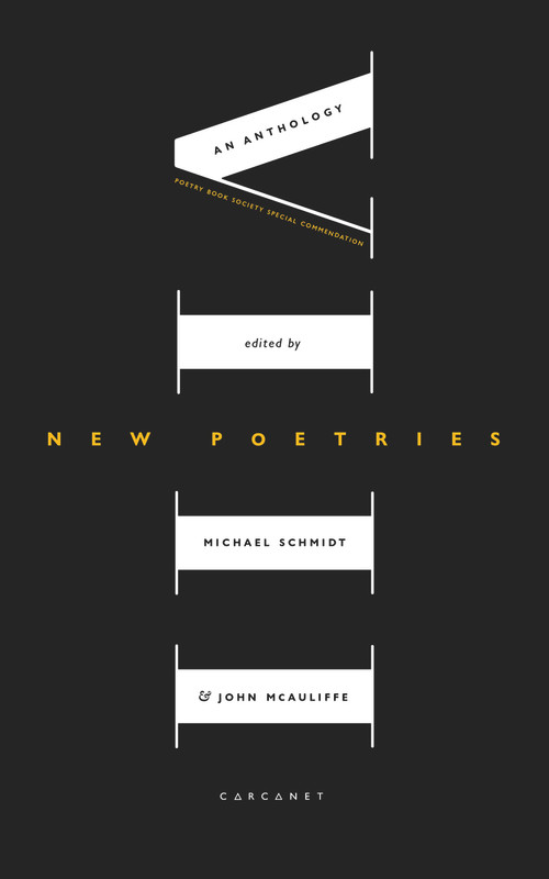 New Poetries VIII by John McAuliffe, Michael Schmidt, 9781800170407