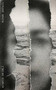 Minor Detail by Adania Shibli, Elisabeth Jaquette, 9780811229074