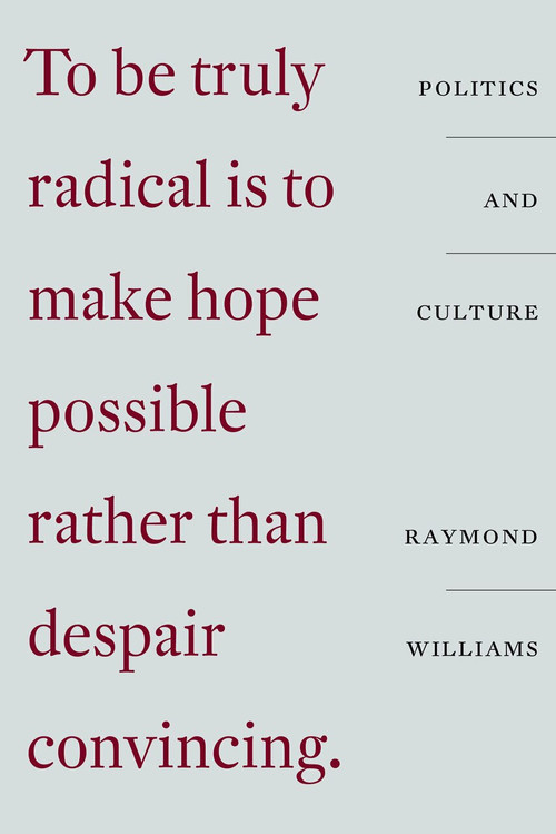 Culture and Politics (Class, Writing, Socialism) by Raymond Williams, Philip O'Brien, 9781788738637
