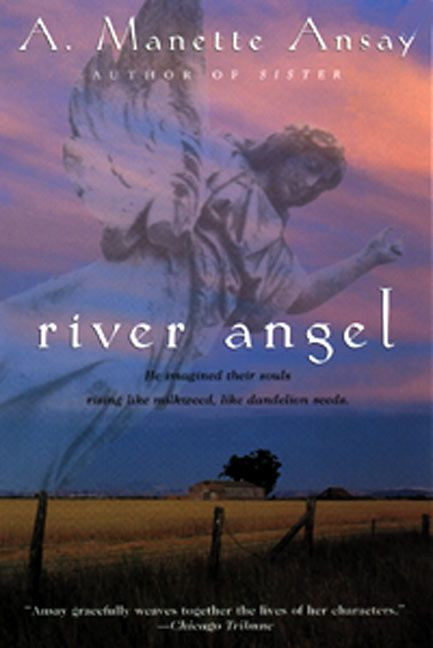River Angel (A Novel) by A. Manette Ansay, 9780380729746