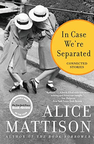 In Case We're Separated (Connected Stories) by Alice Mattison, 9780060937898