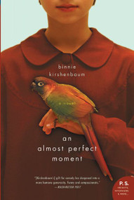 An Almost Perfect Moment (A Novel) by Binnie Kirshenbaum, 9780060520878