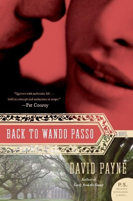 Back to Wando Passo (A Novel) by David Payne, 9780060851903