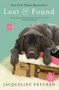 Lost & Found - 9780061128646 by Jacqueline Sheehan, 9780061128646