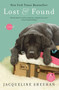 Lost & Found - 9780061128646 by Jacqueline Sheehan, 9780061128646