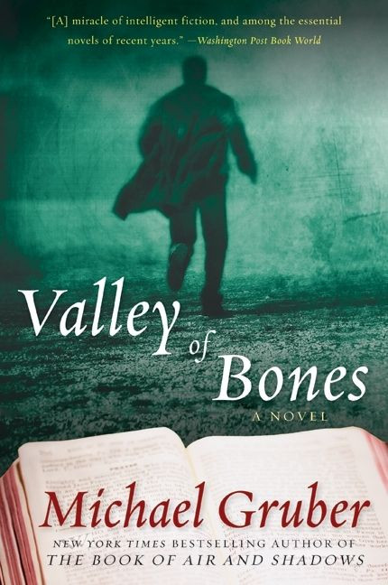 Valley of Bones (A Novel) by Michael Gruber, 9780061650741