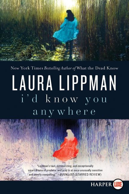 I'd Know You Anywhere (A Novel) - 9780061979224 by Laura Lippman, 9780061979224