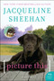 Picture This (A Novel) by Jacqueline Sheehan, 9780062008121