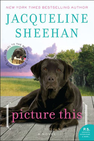 Picture This (A Novel) by Jacqueline Sheehan, 9780062008121