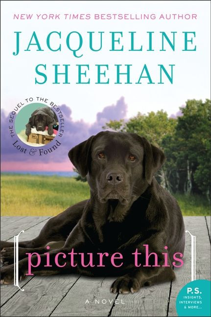 Picture This (A Novel) by Jacqueline Sheehan, 9780062008121