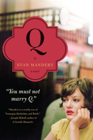 Q: A Novel by Evan Mandery, 9780062015839