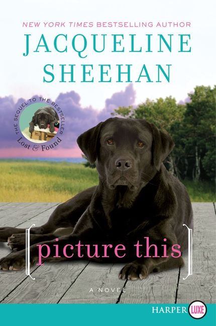 Picture This (A Novel) - 9780062107121 by Jacqueline Sheehan, 9780062107121