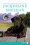 Picture This (A Novel) - 9780062107121 by Jacqueline Sheehan, 9780062107121