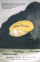 John Dollar by Marianne Wiggins, 9780671039554