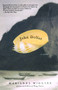 John Dollar by Marianne Wiggins, 9780671039554