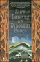 Slow Dancing on Dinosaur Bones (A Novel) by Lana Witt, 9780671891220