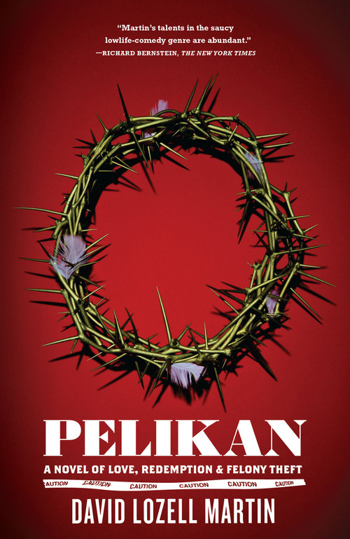 Pelikan (A Novel) by David Lozell Martin, 9781416566618